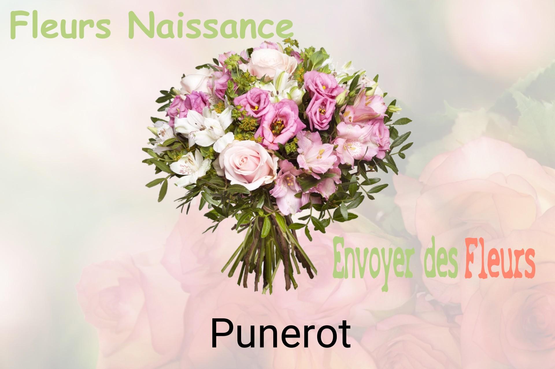 Bouquet de fleurs de naissance livré à Punerot